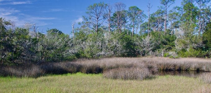 Fort Mose Historic State Park Tickets