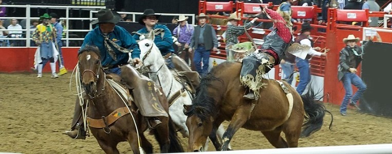 Cedar Park Pro Rodeo Tickets