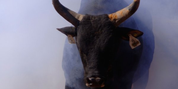 PBR - Team Series Tickets