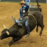 PCB - Professional Championship Bull Riders