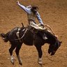 Dixie National Rodeo