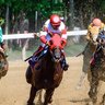 Saratoga Horse Racing