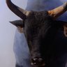PBR - Team Series