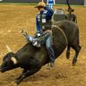 PBR - Professional Bull Riders