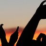 Outlaw Music Festival