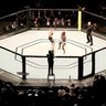 UFC - Ultimate Fighting Championship