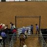 Canadian Finals Rodeo